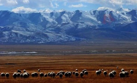 凯翼X5为新一代奋斗者打造高品质生活