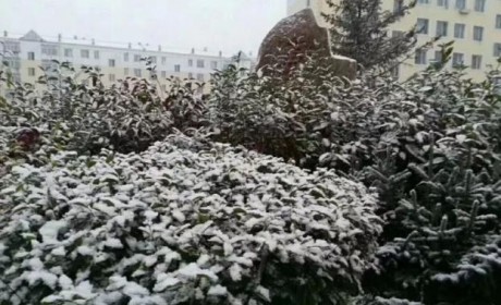 秋意浓浓雪花飘飘，你需要一辆过冬的车