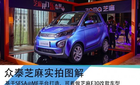 小的有模有样 众泰芝麻实拍图解