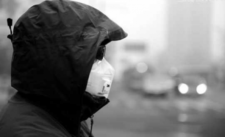 这个夏天要净净 长安凌轩给你多50%的森林级呼吸