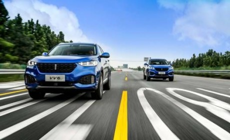 逆势扩张，WEY缘何吸引众多优质渠道商？