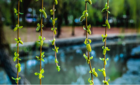 春姑娘追逐赛 绅宝智道获青睐帝豪GL沦备胎