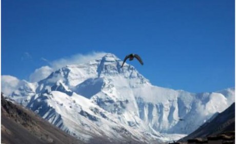 福特撼路者柴油国五已出 动力澎湃远超普拉多