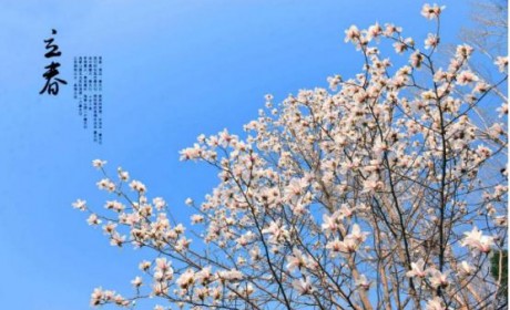 立春出行 福特撼路者倾情相伴