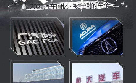 回望2022|披荆斩棘:被荆棘绊倒的车企