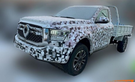 拉货一流 长城山海炮单排皮卡谍照曝光