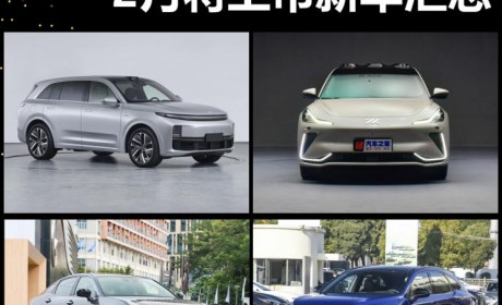 理想L7/智己LS7等 2月将上市新车汇总
