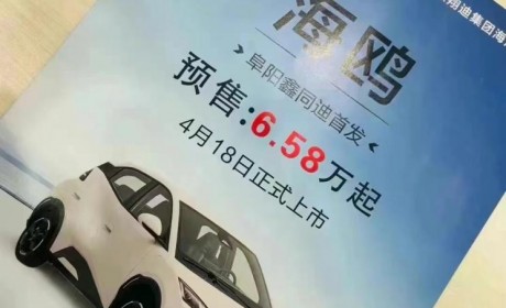 海鸥预售价泄露？比亚迪：消息不实