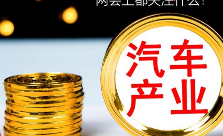 汽车界代表委员两会上都关注什么？