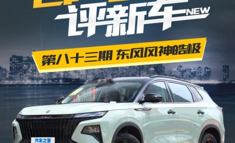 百人口碑评新车――东风风神皓极如何？