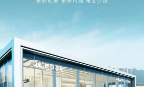 龙网来了 哈弗新能源公布销售网络名称