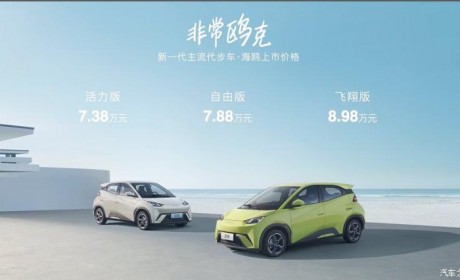 售7.38万元起 比亚迪海鸥正式上市！