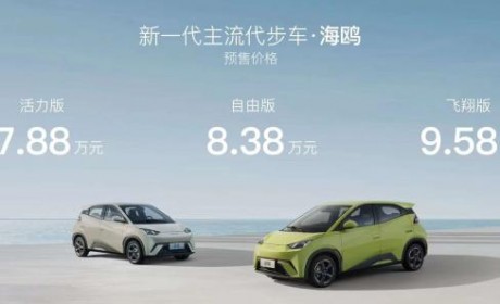 售价会有惊喜吗？比亚迪海鸥今日上市