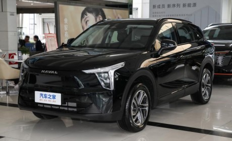 哈弗枭龙/枭龙MAX将于今日正式上市