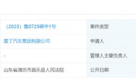 转型最终不成功？ 雷丁汽车申请破产