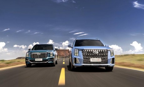 6月30日上市 2024款广汽传祺GS8官图