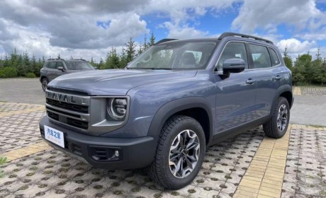 外观更加野性 2024款哈弗大狗首发！