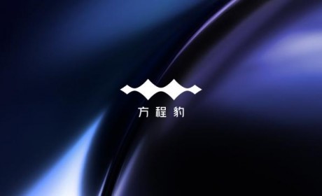 猜猜什么样？方程豹汽车LOGO正式发布