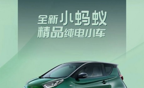 新颜色/新造型 新款小蚂蚁官图来了！