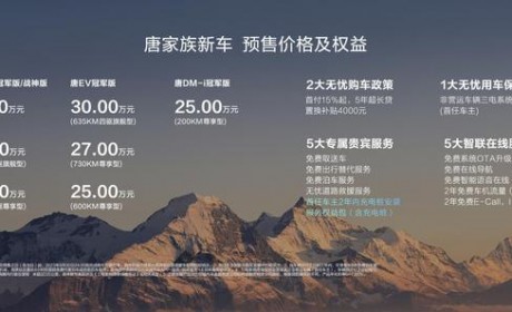 预售25万起 新款唐家族将于8月31日上市