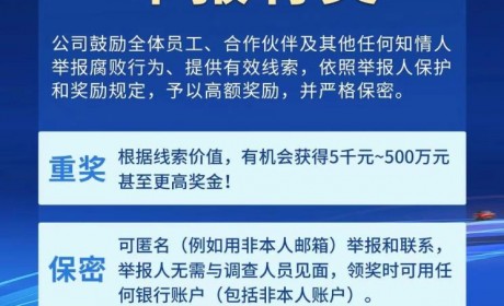 给予500万奖励 比亚迪公开有奖举报腐败
