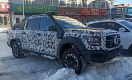 山海炮性能版亮相 长城炮成都车展阵容