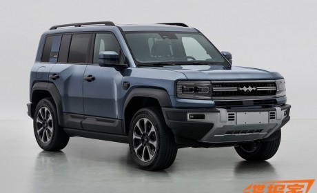 盲订售价30万元起 方程豹豹5申报信息