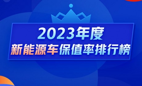 年度新能源车保值率：海豚夺得国产冠军