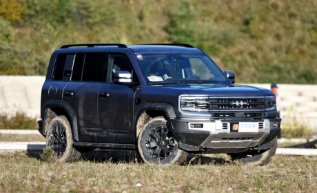 盲订30-40万元 方程豹豹5将于11月上市