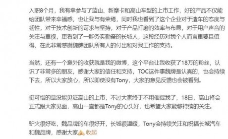 入职仅8个月 魏牌CEO陈思英确认离职