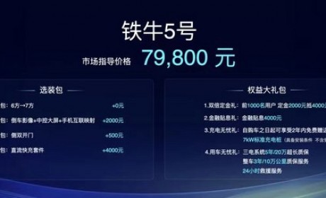 售7.88万元起 大力牛魔王D05正式上市