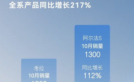 极狐:10月销量3107辆，今年累计17608辆