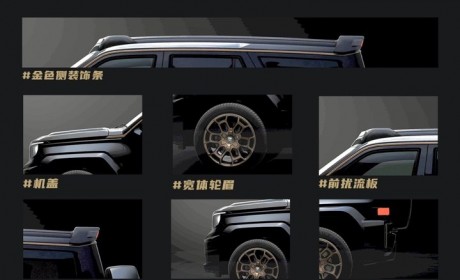 运动套件亮眼 坦克700Hi4T细节图曝光