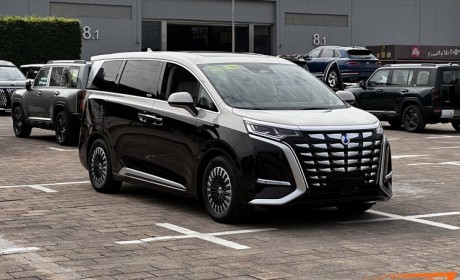 2023广州车展探馆：腾势D9创始版四座