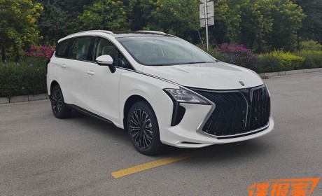 6座和7座版 东风风行游艇插混版申报图