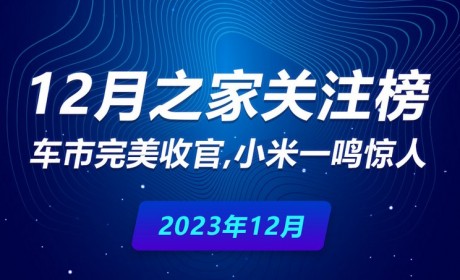 12月榜单：车市完美收官 小米一鸣惊人