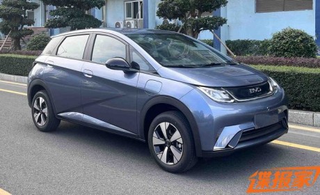 将于2月份内上市 新款比亚迪海豚申报图