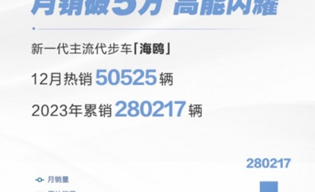 2023年海鸥销量达28万辆 12月卖出5万辆