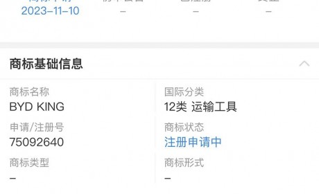 又有大动作？比亚迪注册两款全新商标