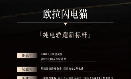 闪电猫/好猫等 欧拉至高现金减免3万元