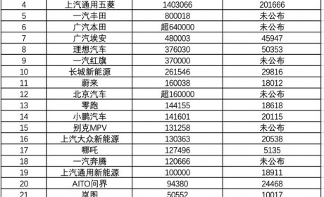 第一名不用猜 2023年车企全年销量排名