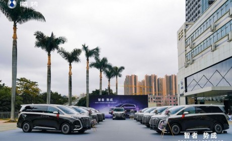 腾势D9 PREMIER创始版四座正式开启交付