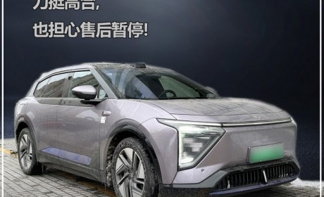 对话高合车主：力挺高合也担心售后暂停