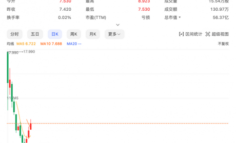 股价腰斩？路特斯在美股市场怎么了？