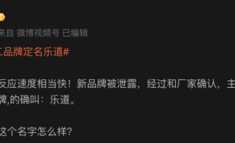 蔚来阿尔卑斯首款SUV车型无伪谍照曝光!