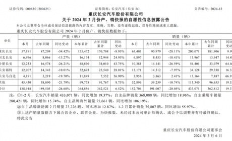 新能源表现不俗 长安汽车2月销量公布