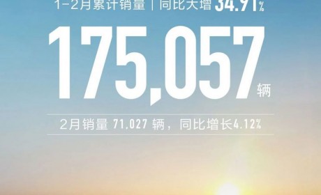 长城2024年1-2月累计销量为175057辆