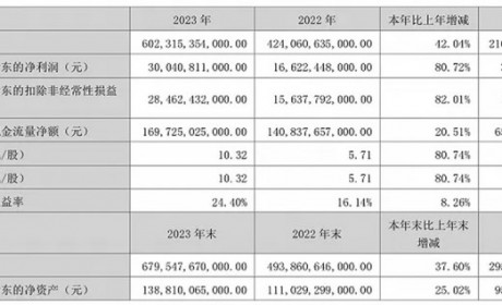 增长42.04% 比亚迪2023年营收6023.15亿