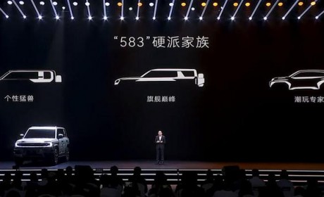 583家族/造型霸气 方程豹豹8量产版发布