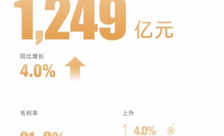同比增长4% 一季度比亚迪营收1249亿元
